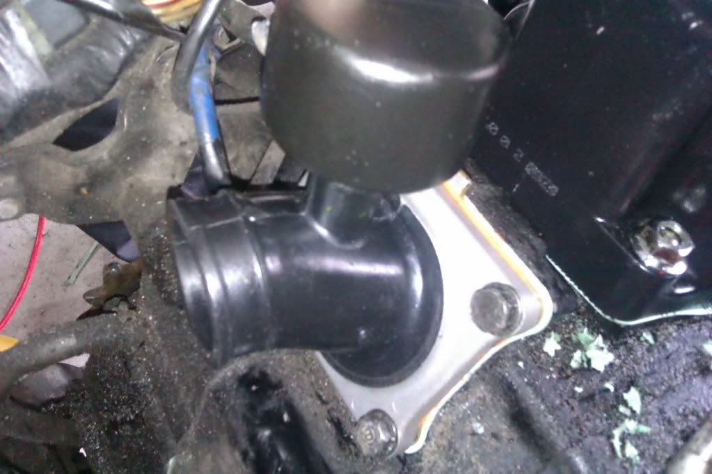 IMAG0519.jpg