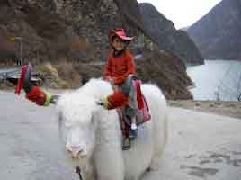 Kid on a Yak