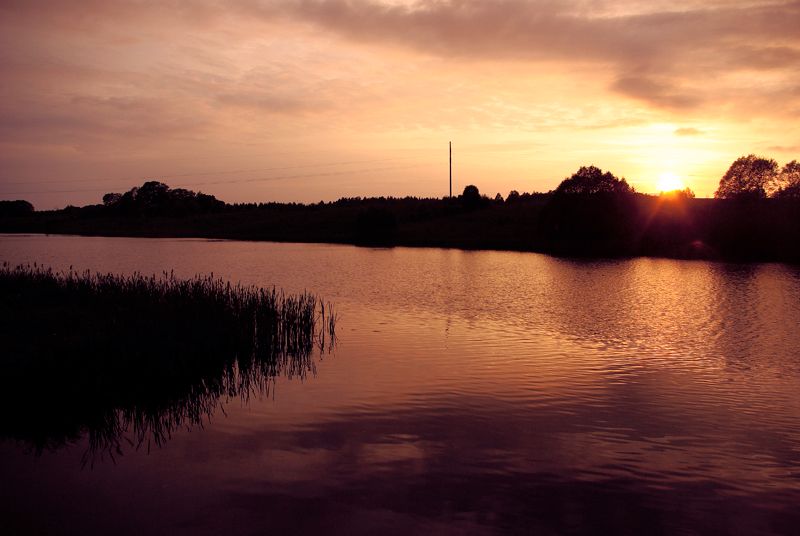 Paveikslėlis