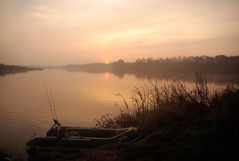 Paveikslėlis