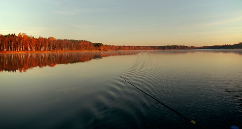 Paveikslėlis