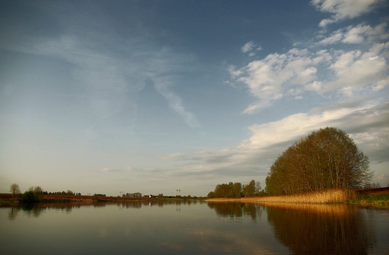 Paveikslėlis