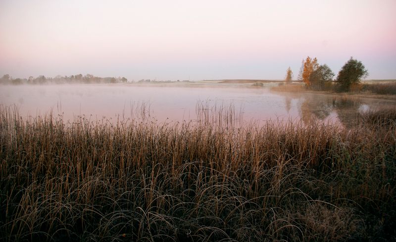 Paveikslėlis