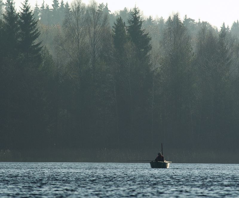 Paveikslėlis