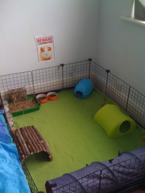 photo-5-1.jpg