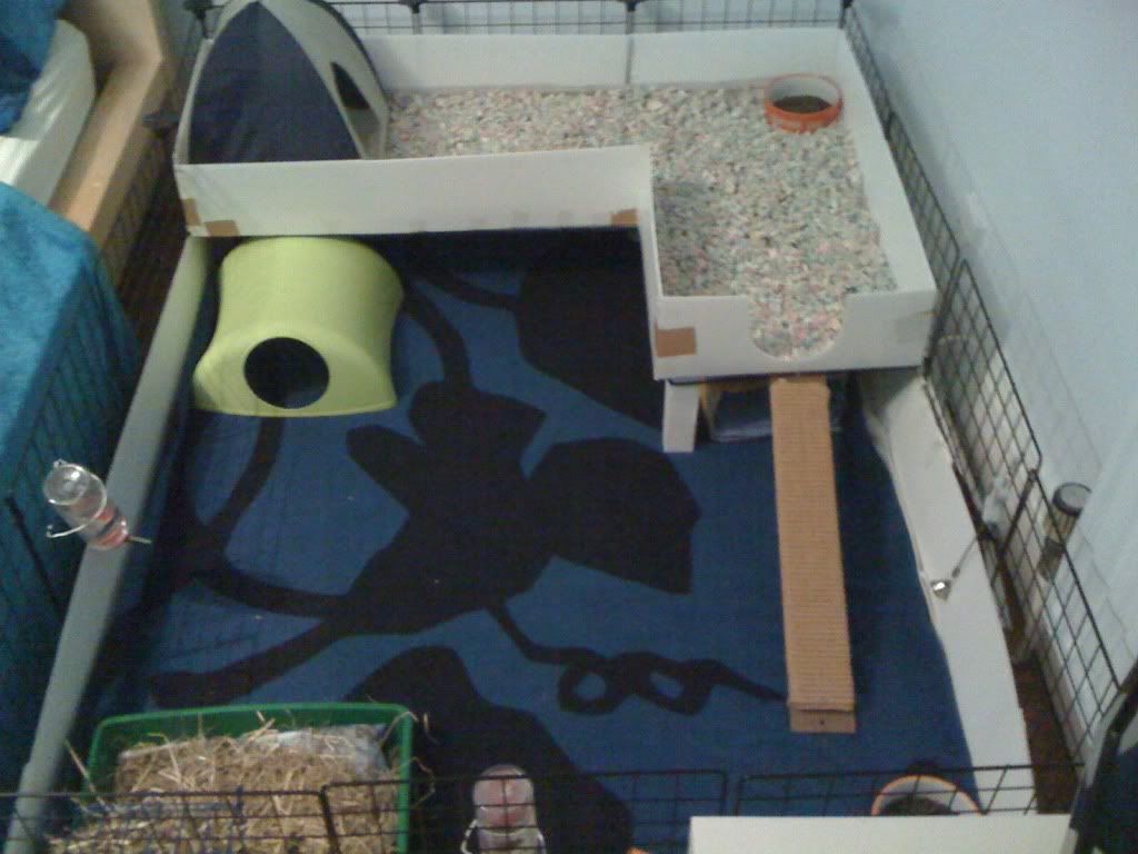photo-9.jpg